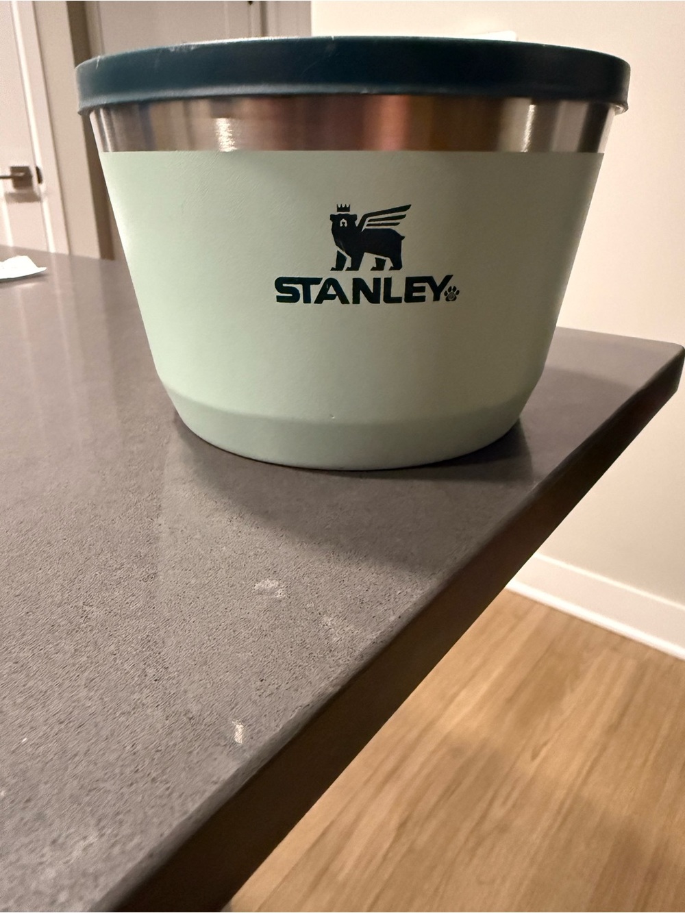 Stanley Pale Mint Dog Green Bowl with Dark Teal Logo